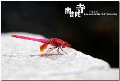 DSC_0304~0.jpg