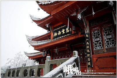 DSC_0315~1.jpg