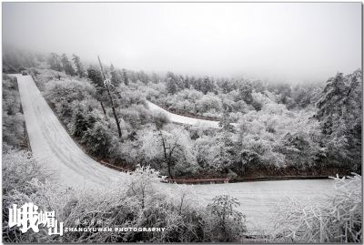DSC_0317~0.jpg