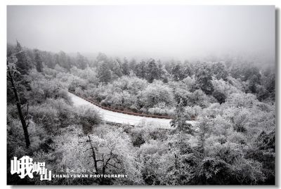 DSC_0318~0.jpg