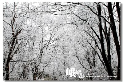 DSC_0341~0.jpg