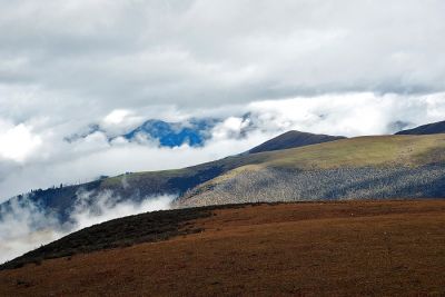 DSC_0420.jpg