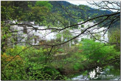 DSC_0530~0.jpg