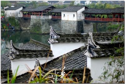 DSC_0673~2.jpg