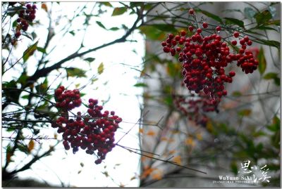 DSC_0722.jpg