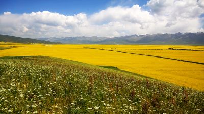 IMG_8768.jpg