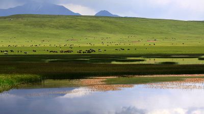 IMG_8856.jpg