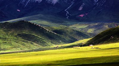 IMG_9016.jpg