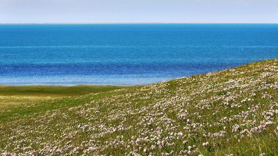 IMG_9300.jpg