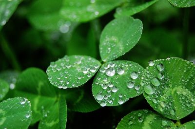 nEO_IMG_DSC_0206.jpg