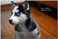 DSC_0098~0.jpg