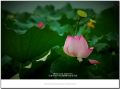 DSC_0147~0.jpg