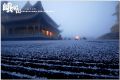 DSC_0156~1.jpg