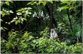 DSC_0166s.jpg