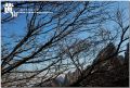 DSC_0182~0.jpg