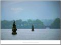 DSC_0213~0.jpg