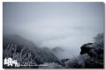 DSC_0225~1.jpg