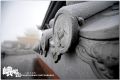 DSC_0228~3.jpg