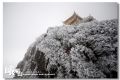 DSC_0236~0.jpg