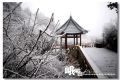DSC_0280~0.jpg