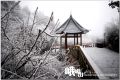 DSC_0280~1.jpg