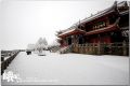 DSC_0309~1.jpg
