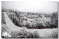 DSC_0317.jpg
