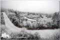 DSC_0317~0.jpg