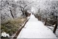 DSC_0326~0.jpg