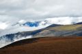 DSC_0420.jpg