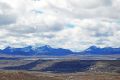 DSC_0515.jpg