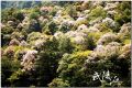 DSC_0515s.jpg