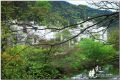 DSC_0530~0.jpg
