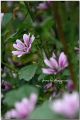 DSC_0636_nEO_IMG.jpg