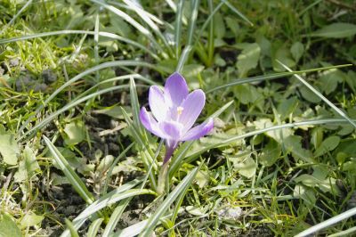 SDIM4758_IrfanView.jpg