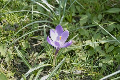 SDIM4758_SPP3.jpg