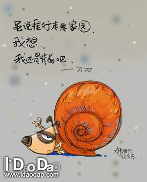 dd067.jpg
