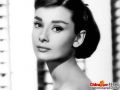 Filename=Audrey_Hepburn_010.jpg
Filesize=30KiB
Dimensions=800x600
Date added=Jul 19, 2008 Audrey_Hepburn_010.jpg