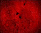 gow2logo2
gow2logo2
