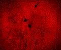 gears-of-war-2-logo.gif