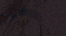 02.gif