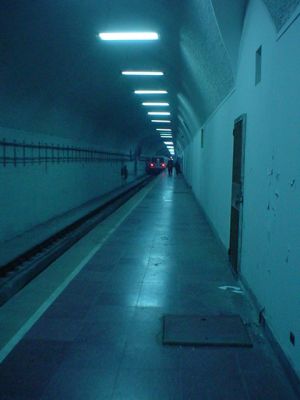 DSC01247~0.JPG