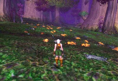 WoWScrnShot_043005_205956.gif