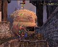031.gif