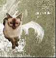 6ef1390ed9a1bcd15936bb52c1e.gif