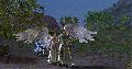 Aion0173.gif