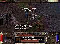 BUGAM3.gif