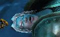 Filename=WoWScrnShot_040510_210828.gif
Filesize=97KiB
Dimensions=494x307
Date added=Apr 05, 2010 WoWScrnShot_040510_210828.gif
