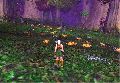 Filename=WoWScrnShot_043005_205956.gif
Filesize=247KiB
Dimensions=711x493
Date added=Jul 02, 2009 WoWScrnShot_043005_205956.gif