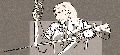 wt~0.gif
